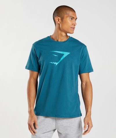 Blue Men's Gymshark Sharkhead Infill T Shirts | CA6289-373
