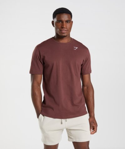 Brown Men's Gymshark Crest T Shirts | CA0737-317