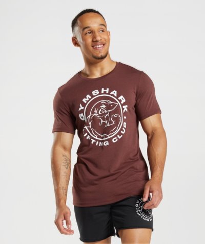 Brown Men's Gymshark Legacy T Shirts | CA9188-402
