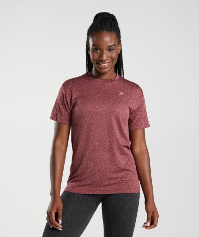 Brown Women's Gymshark Adapt Animal Seamless T Shirts | CA6164-575