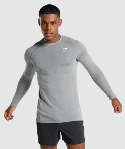 Deep Grey Men's Gymshark Vital Light Seamless Long Sleeve T Shirts | CA4132-237