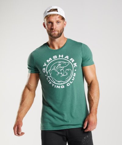 Green Men's Gymshark Legacy T Shirts | CA3814-349