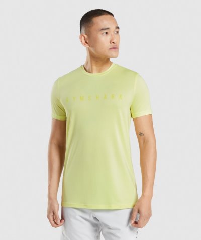 Green Men's Gymshark Sport Stripe T Shirts | CA4787-553