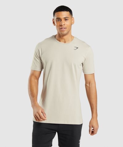 Grey Men's Gymshark Essential T Shirts | CA7614-053