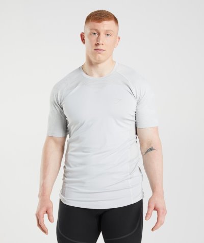 Light Grey Men's Gymshark 315 T Shirts | CA8746-796