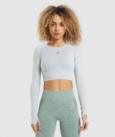 Light Grey Women's Gymshark Flex Sports Long Sleeve Cropped Tops | CA9536-832