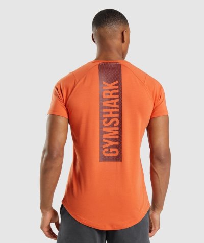 Orange Men's Gymshark Bold T Shirts | CA5655-052