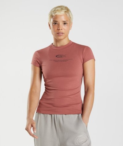 Rose Brown Women's Gymshark GS10 Year Body Fit T Shirts | CA1420-383
