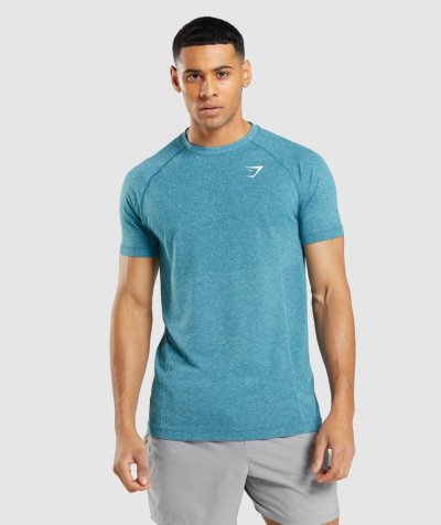 Turquoise Men's Gymshark Vital Light Seamless T Shirts | CA7989-752