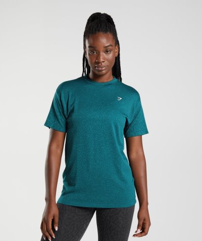 Turquoise Women's Gymshark Adapt Animal Seamless T Shirts | CA7840-236