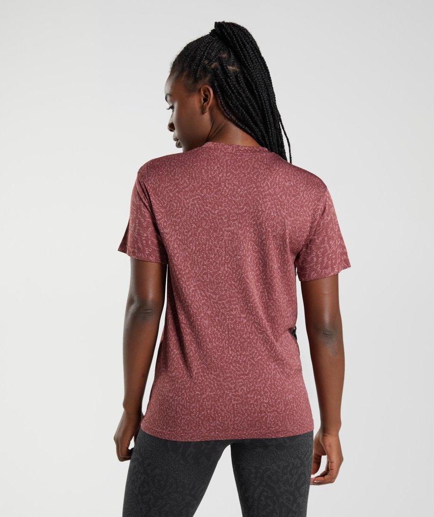 Brown Women's Gymshark Adapt Animal Seamless T Shirts | CA6164-575
