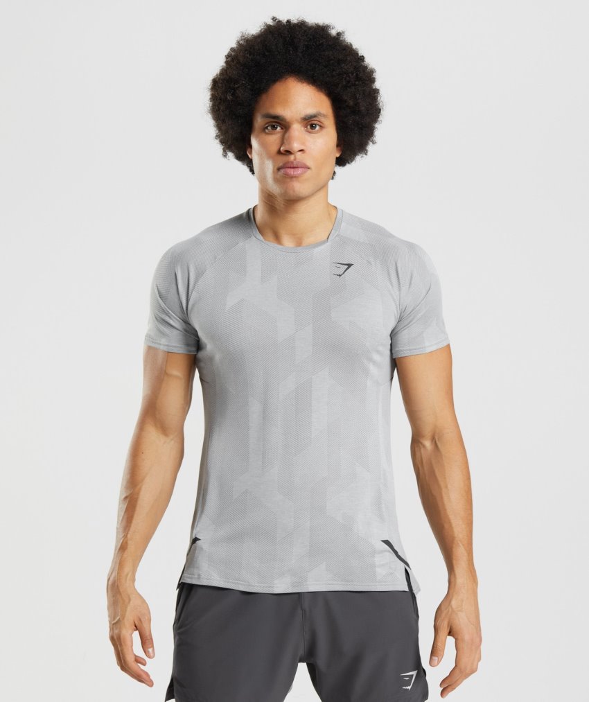 Grey / Light Grey Men's Gymshark Apex T Shirts | CA7680-567