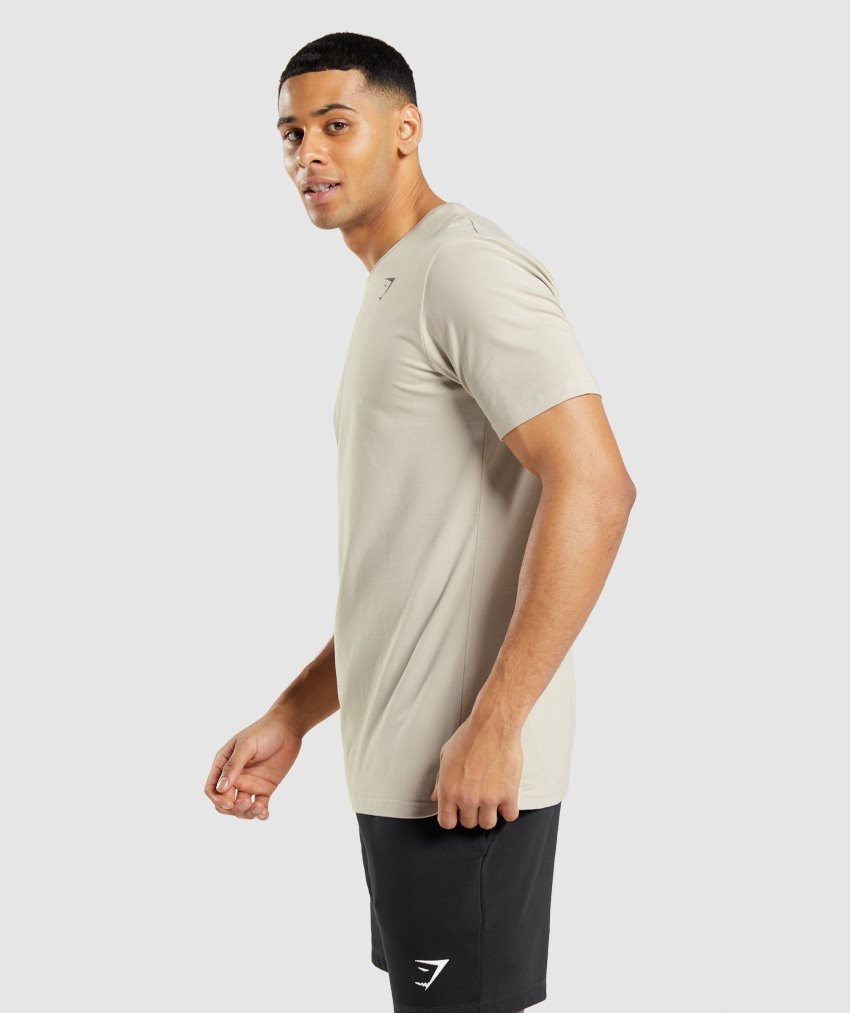 Grey Men's Gymshark Essential T Shirts | CA7614-053