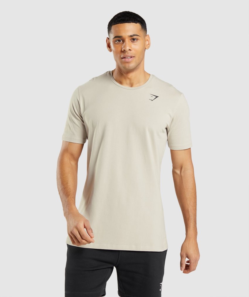 Grey Men\'s Gymshark Essential T Shirts | CA7614-053