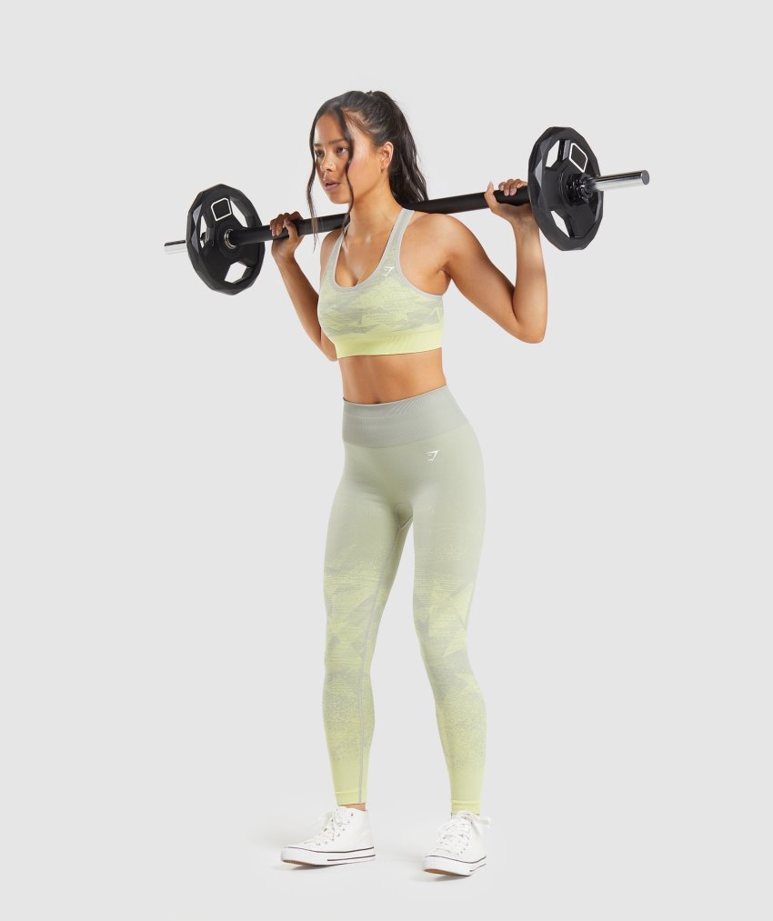 Grey Women's Gymshark Adapt Ombre Seamless Leggings | CA8741-294