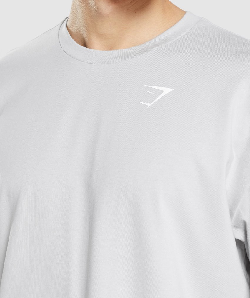 Light Grey Men's Gymshark Essential Oversized T Shirts | CA9246-633